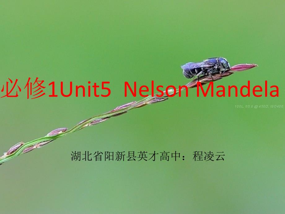 英语：必修1 Unit5 Nelson Mandela-a modern hero词汇总结课件(新人教版)_第1页