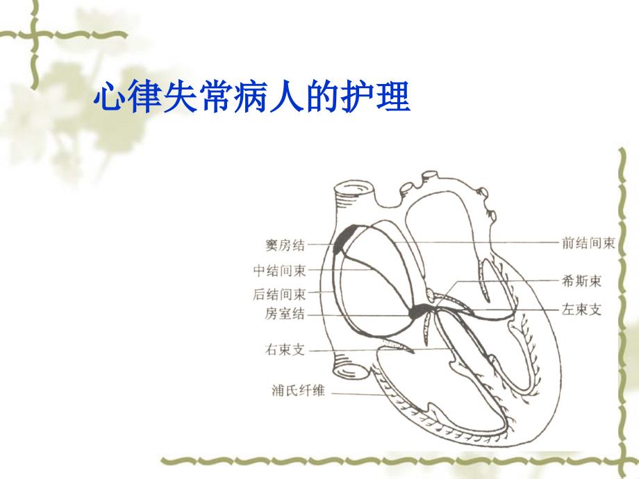 心律失常病人的护理_第1页