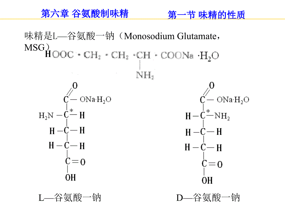 谷氨酸制味精方案课件_第1页