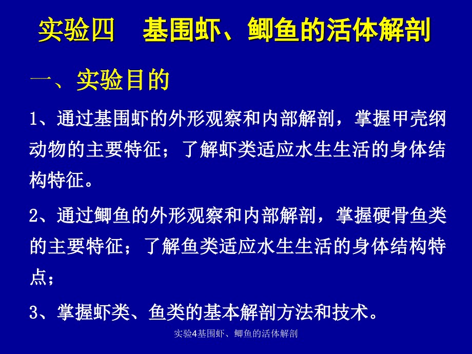 实验4基围虾、鲫鱼的活体解剖课件_第1页