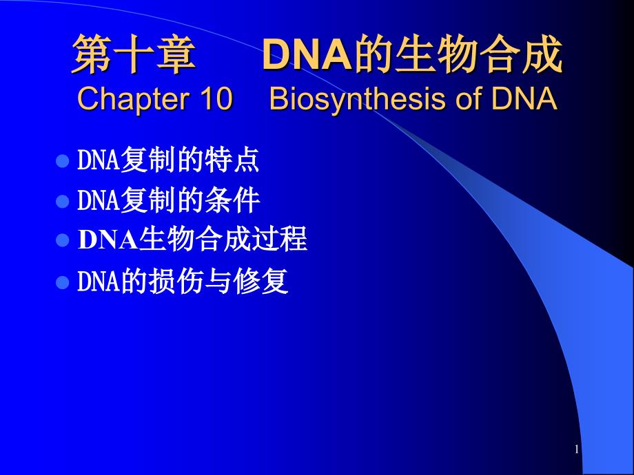 DNA的生物合成_第1页