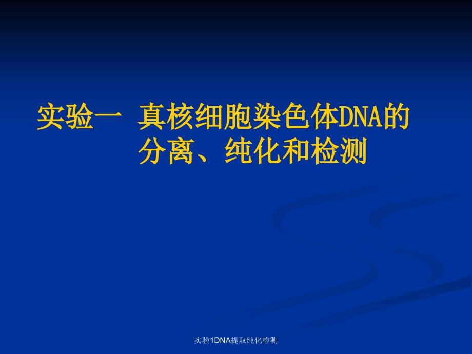 实验1DNA提取纯化检测课件_第1页