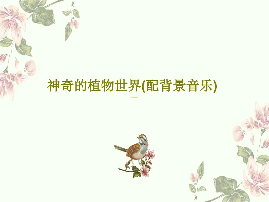 神奇的植物世界（配背景音乐）课件_第1页