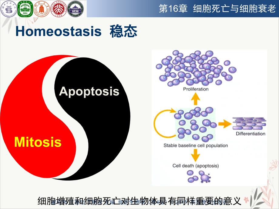 细胞死亡与细胞衰老课件_第1页