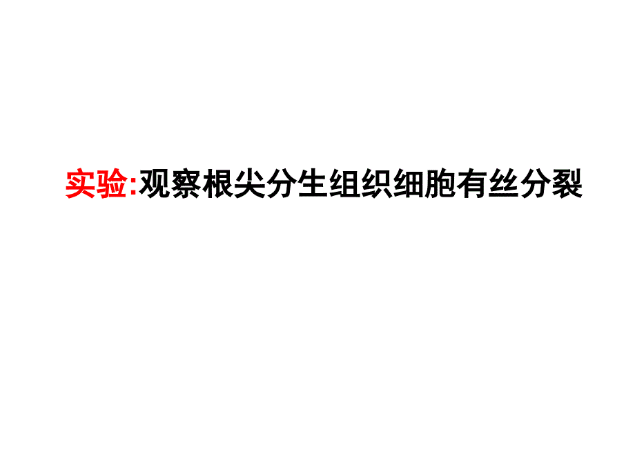 观察根尖分生组织细胞有丝分裂_第1页