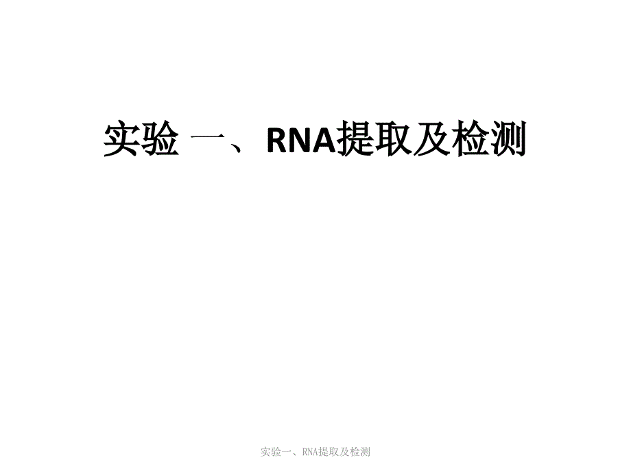 实验一、RNA提取及检测课件_第1页