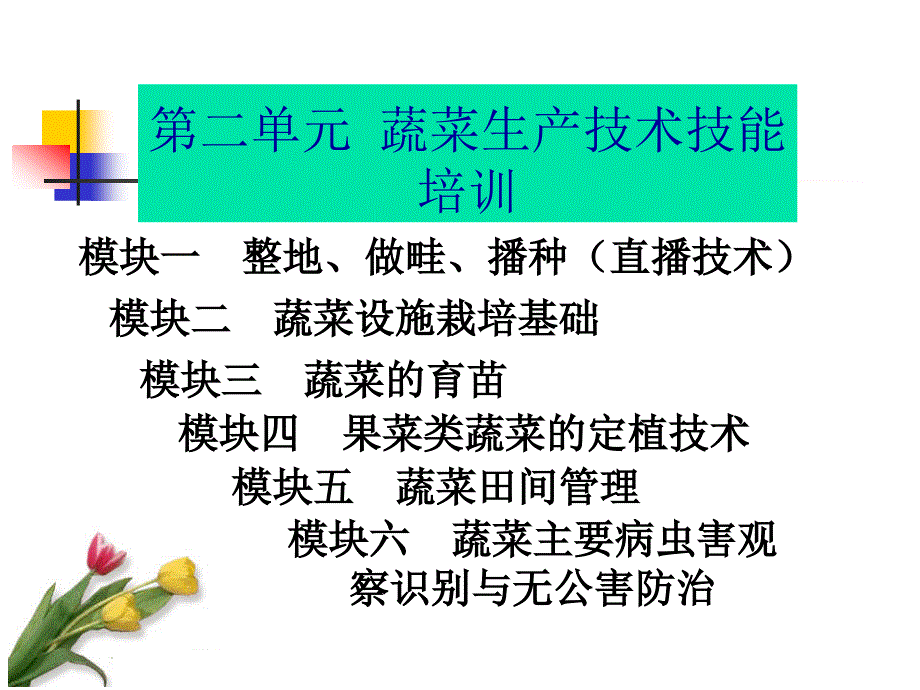 第二单元蔬菜生产技术技能培训课件_第1页