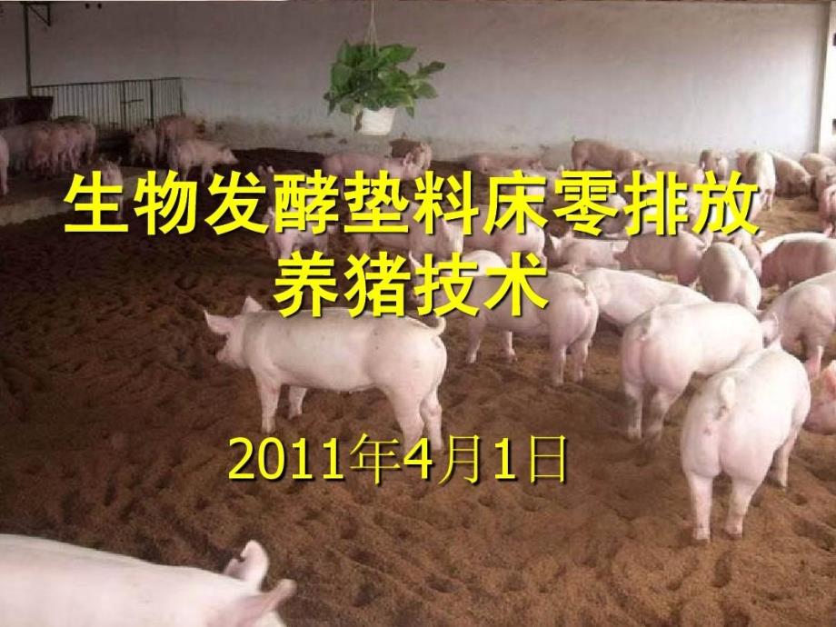 生物发酵垫料床零排放养猪技术课件_第1页