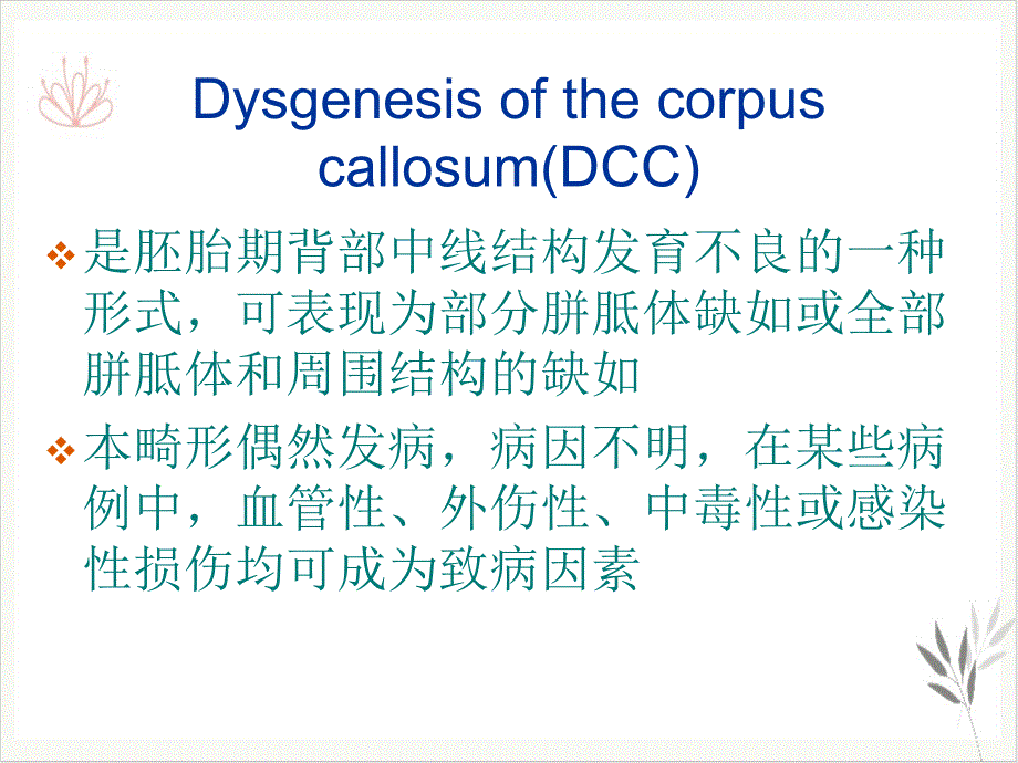 胼胝体发育不良课件_第1页