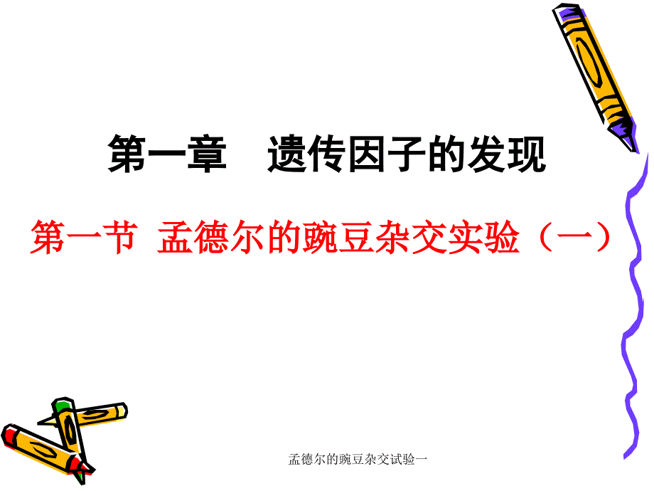 孟德尔的豌豆杂交试验一课件_第1页