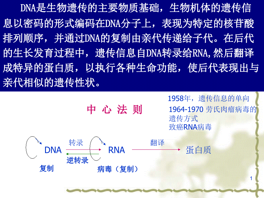 DNA是生物遗传的主要物质基础_第1页