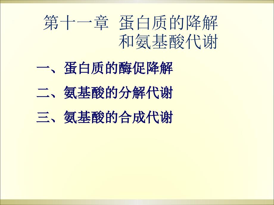 蛋白质的酶促降解氨基酸的分解代谢氨基酸的合课件_第1页