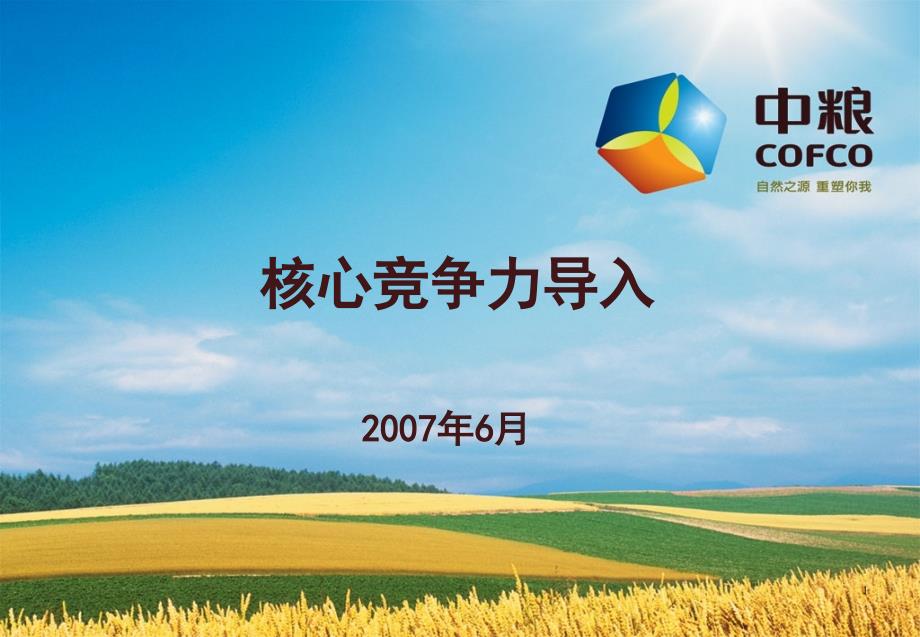 中粮集团构建核心竞争力模板,宁高宁董事长倾情奉献_第1页