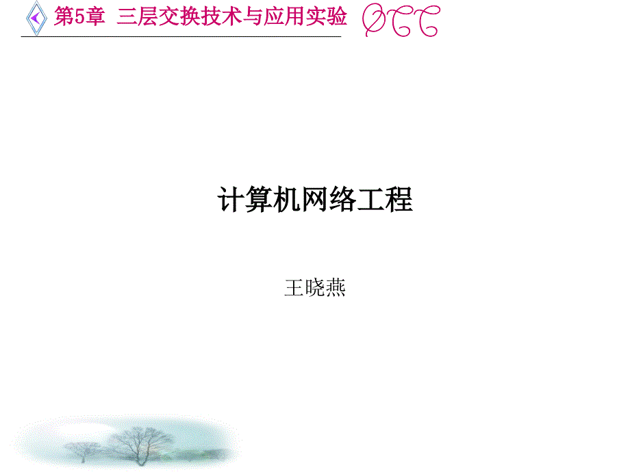 第5章三层交换技术与应用实验_第1页