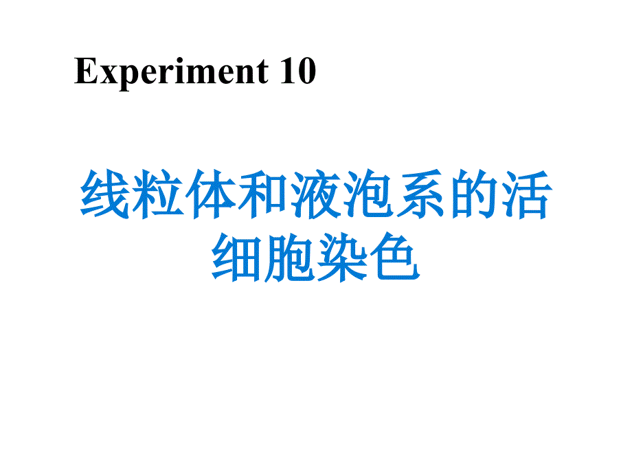 线粒体和液泡系的活细胞染色_第1页