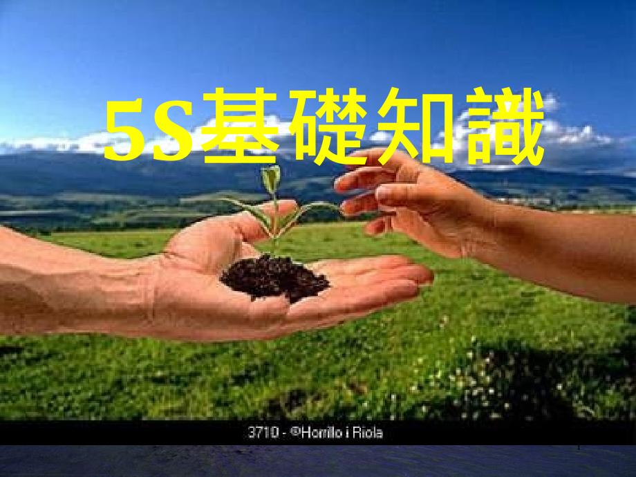 5S基础知识讲义_第1页