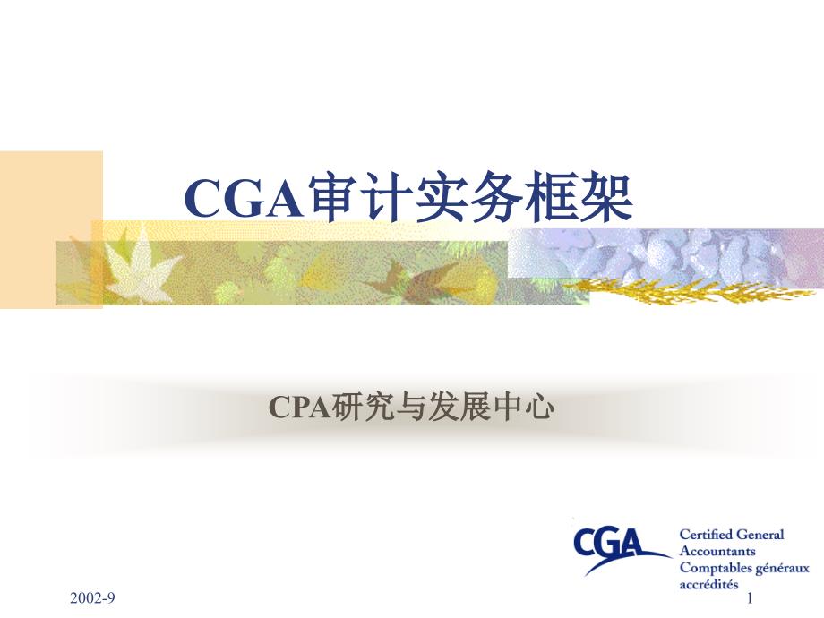 CGA审计实务框架_第1页