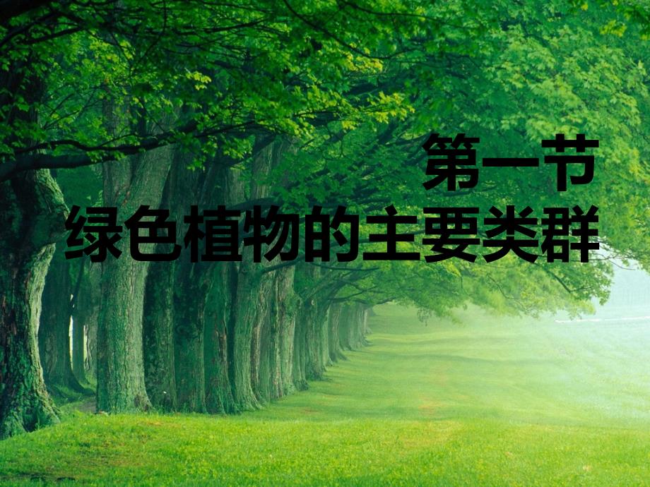 绿色植物的主要类群济南版课件_第1页