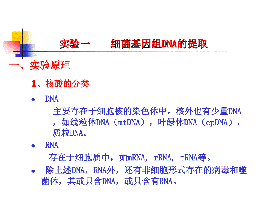 细菌基因组DNA的提取_第1页