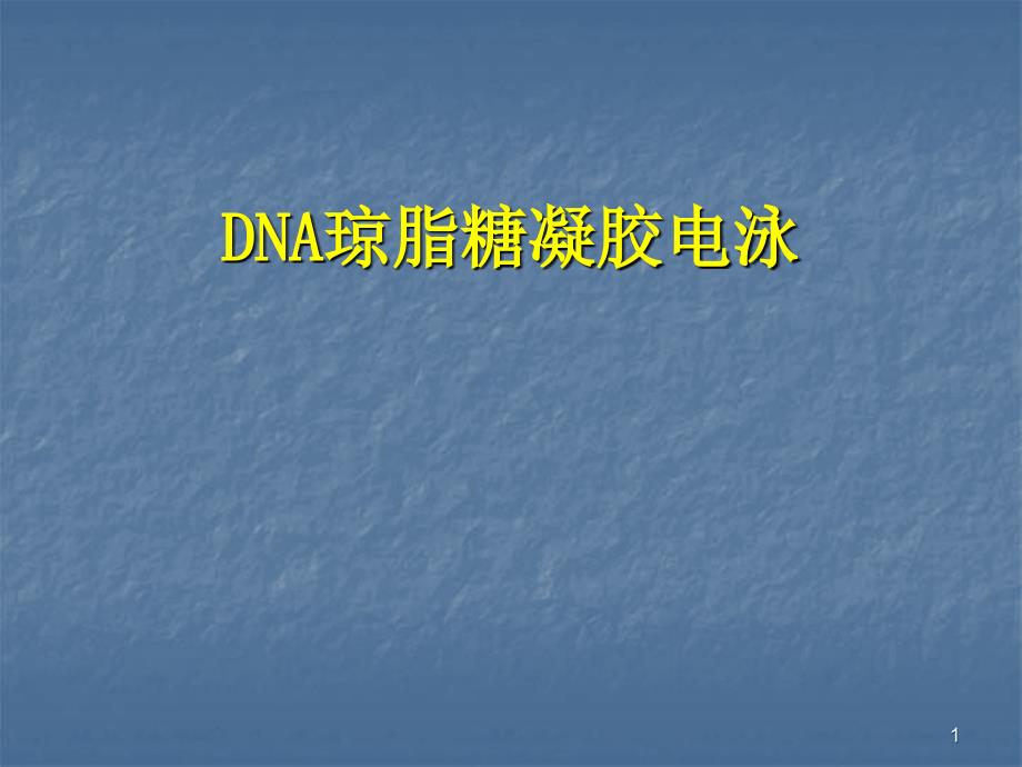 DNA琼脂糖凝胶电泳_第1页