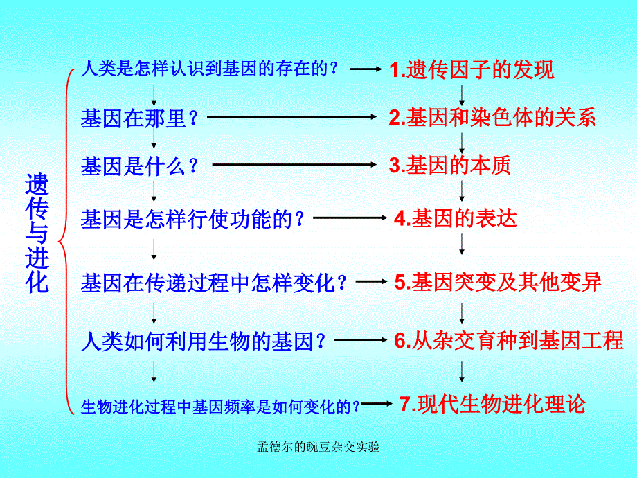 孟德尔的豌豆杂交实验课件_第1页