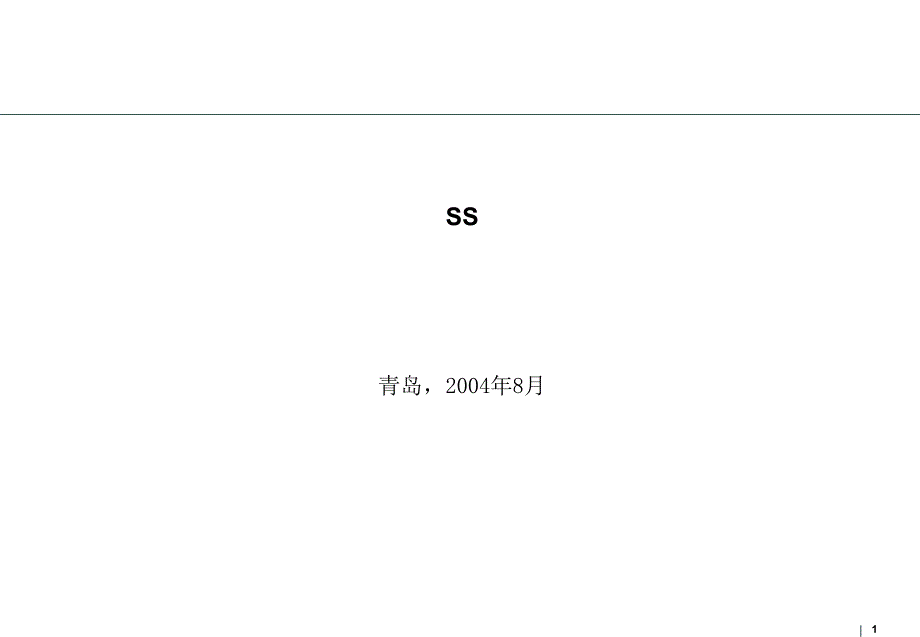 SS集团战略规划-补充_第1页