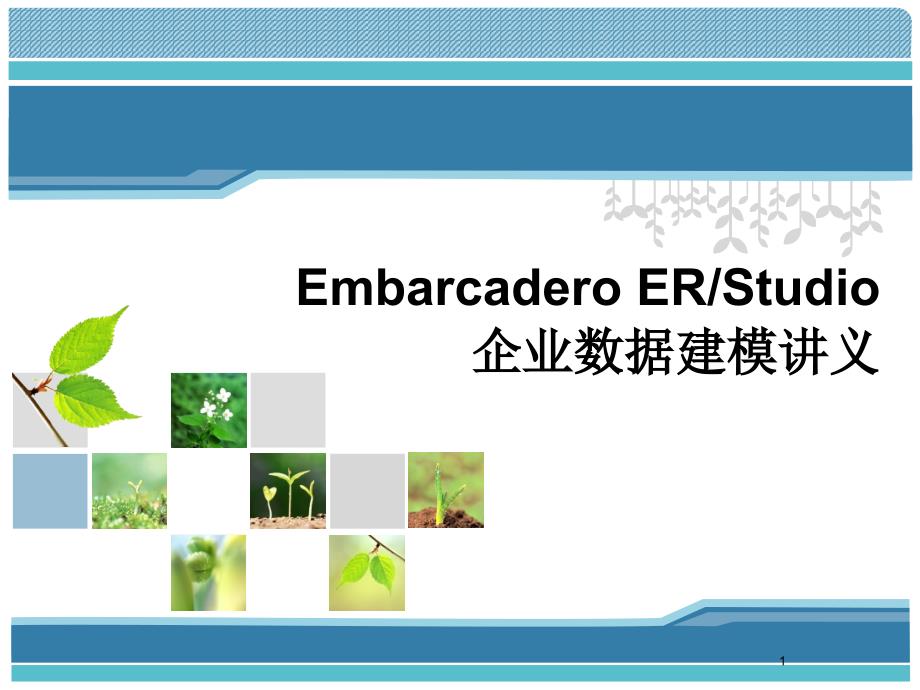 ERStudio使用教程中文版_第1页