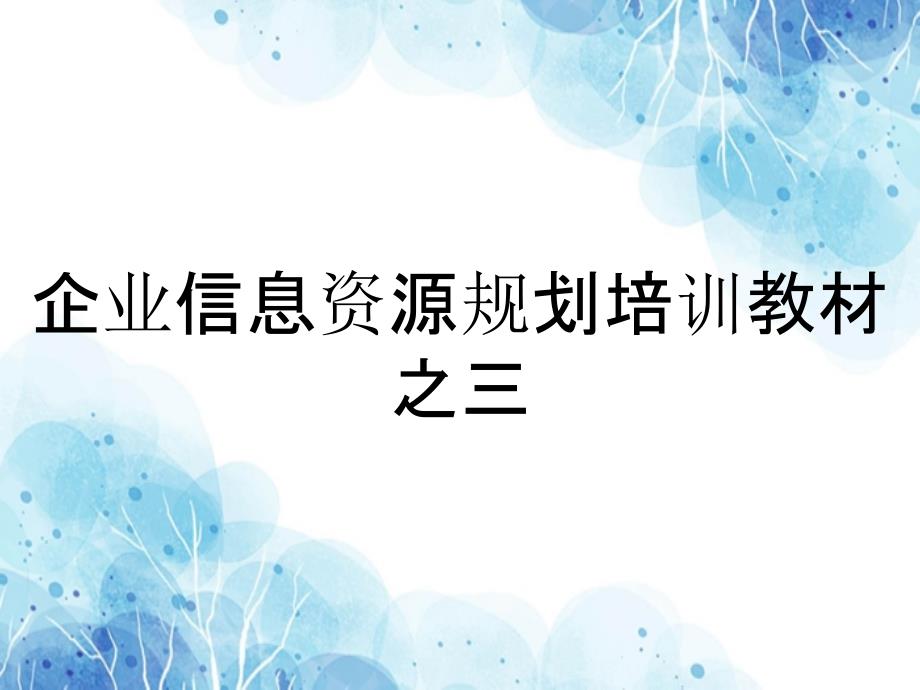 企业信息资源规划培训教材之三_第1页