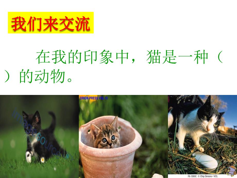 老舍《猫》公开课课件_第1页