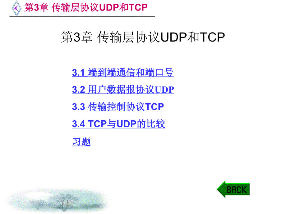 第3章 传输层协议UDP和TCP_第1页