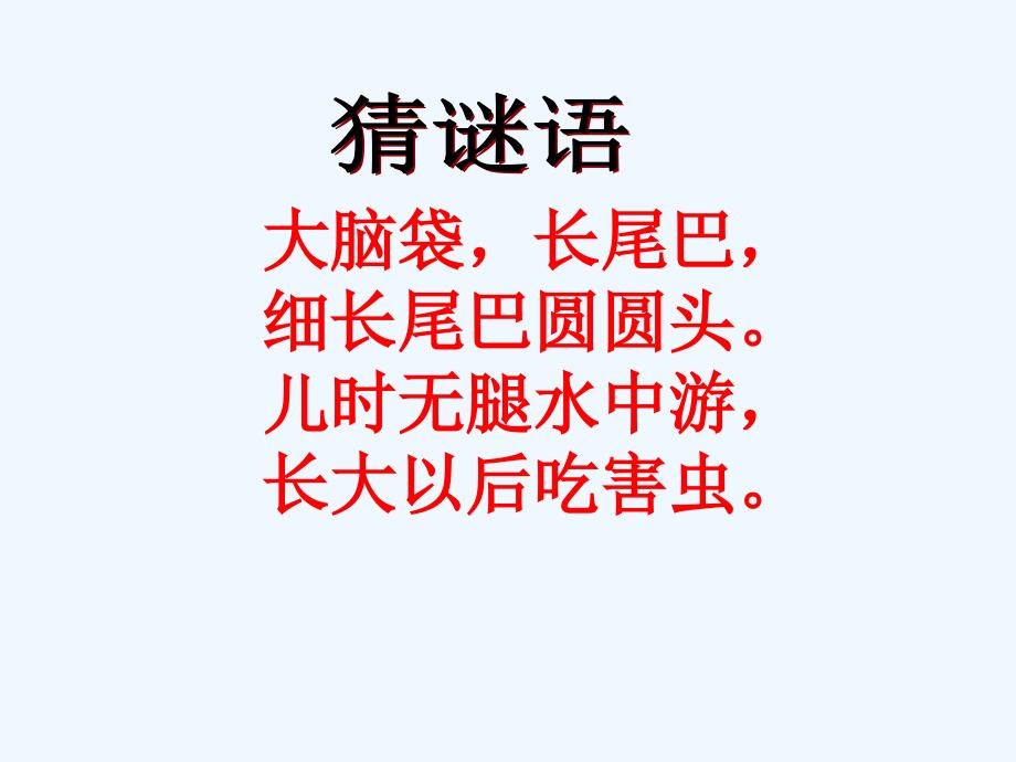 美术课小蝌蚪公开课课件_第1页