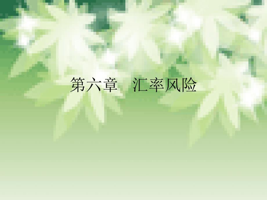 第6章 汇率风险_第1页