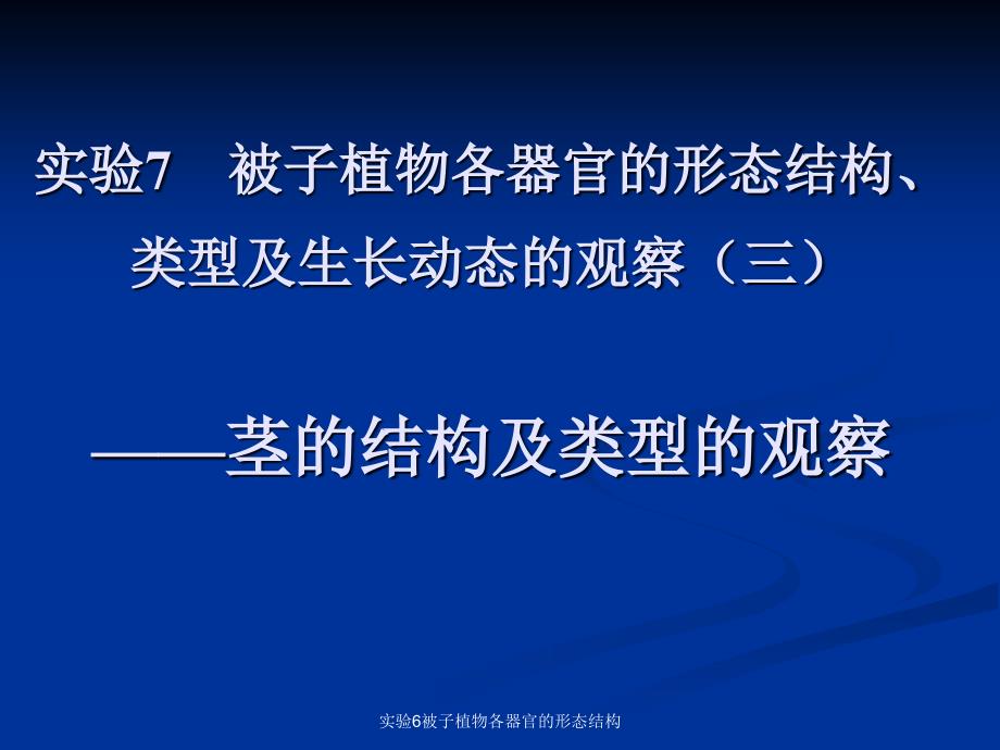 实验6被子植物各器官的形态结构课件_第1页