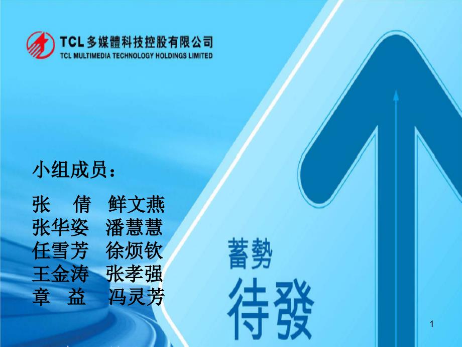 TCL集团筹资与资本结构分析(PPT 24页)_第1页