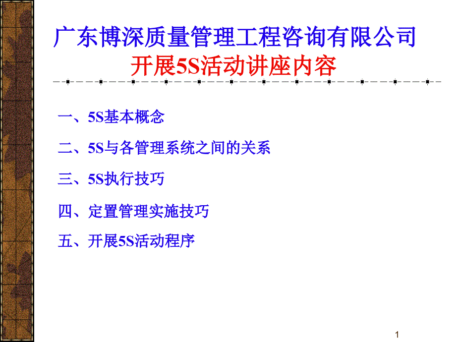 5S活动讲义及实施指南_第1页