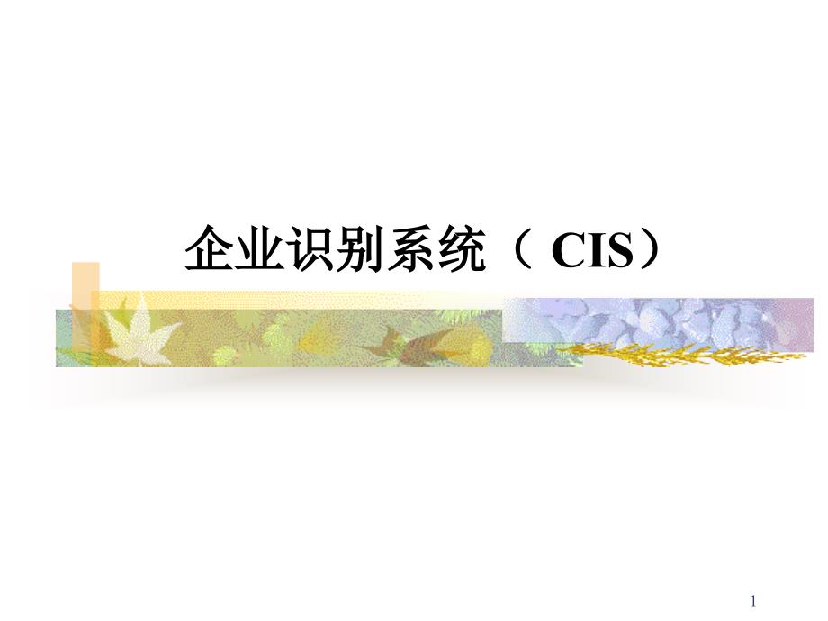 企业识别系统( CIS)_第1页