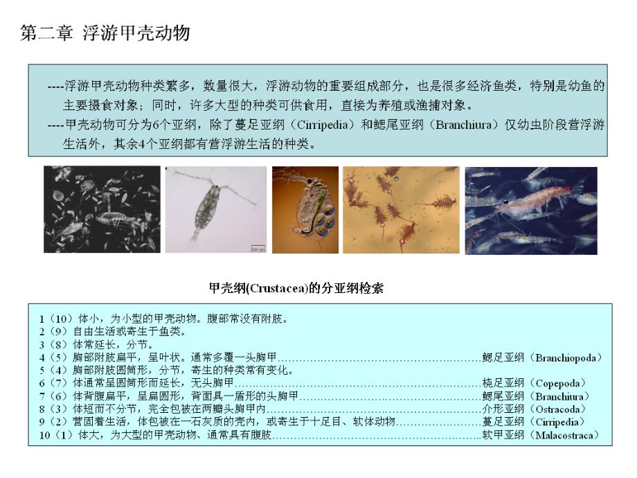 《海洋浮游生物学》课件9.Metazooplankton(1-21)_第1页