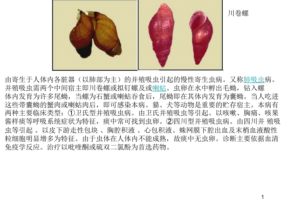 中间宿主—螺_第1页