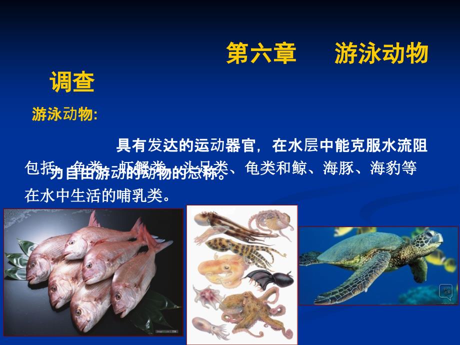 《海洋生物资源调查技术》课件第6章 游泳动物调查_第1页