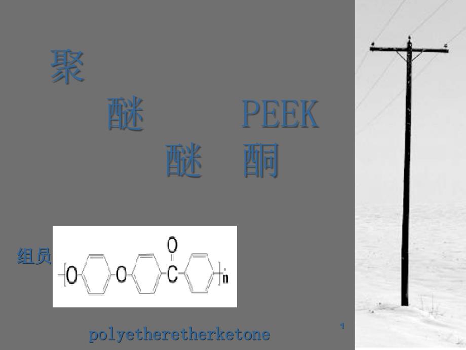 聚醚醚酮PEEK演讲文稿_第1页