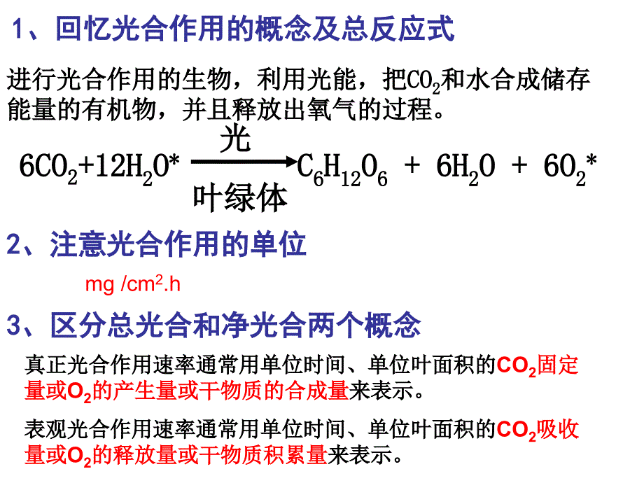 生态系统的生产量和生物量_第1页