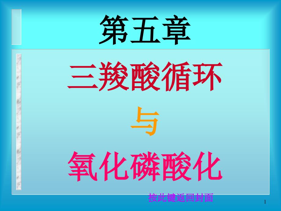 三羧酸循环.PPT_第1页