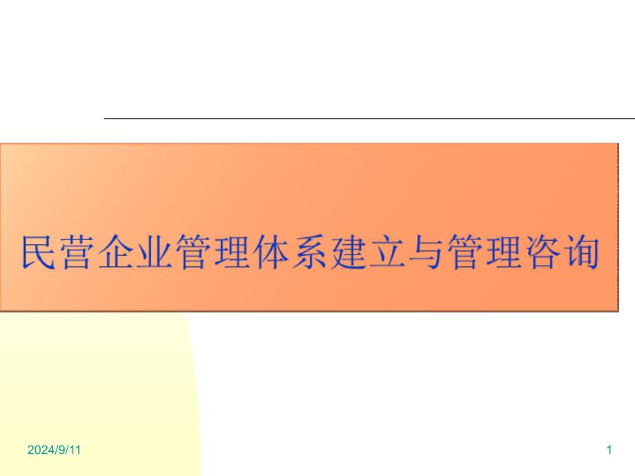 民营企业管理体系建立与管理咨询_第1页