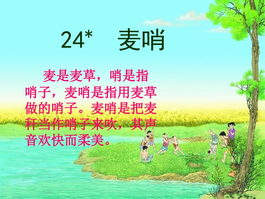 24《麦哨》(实用版)课件_第1页