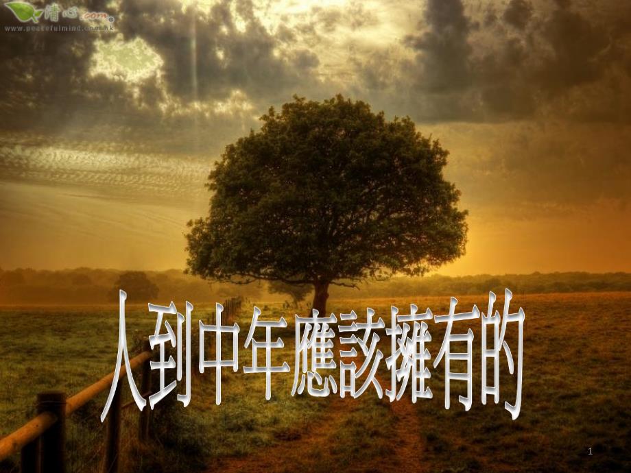 人到中年该拥有_第1页