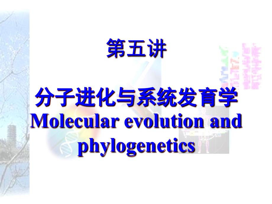 244293分子进化与系统发育学_第1页