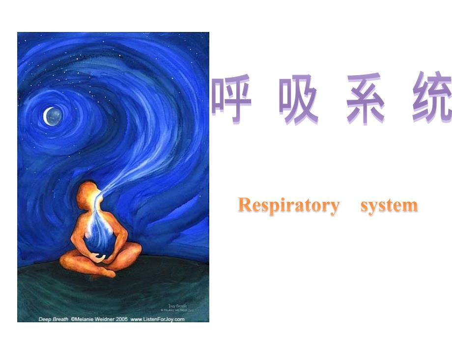 6-1呼吸系统皮肤_第1页