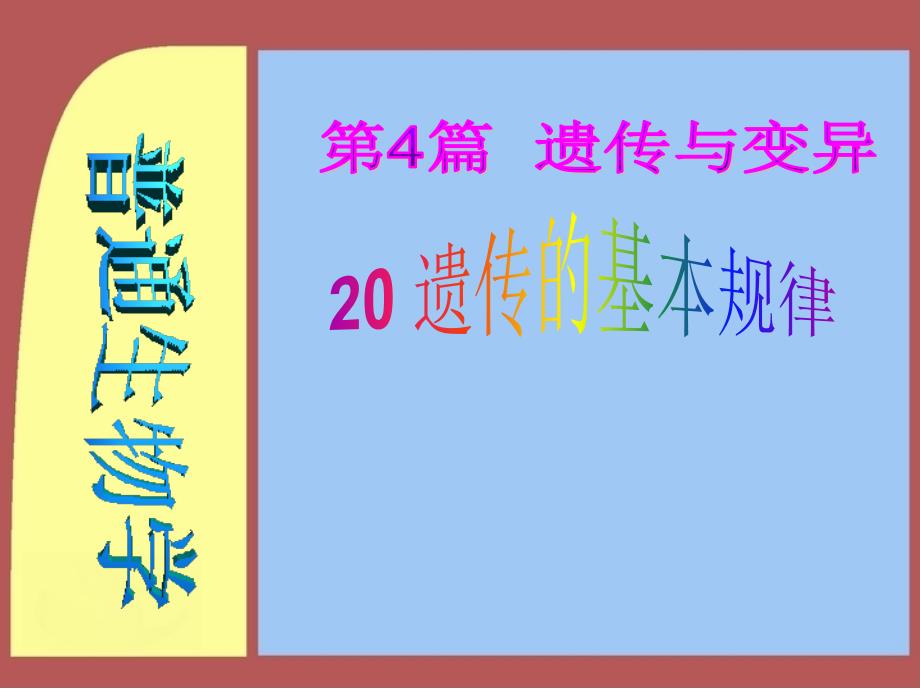 20-遗传的基本规律资料_第1页