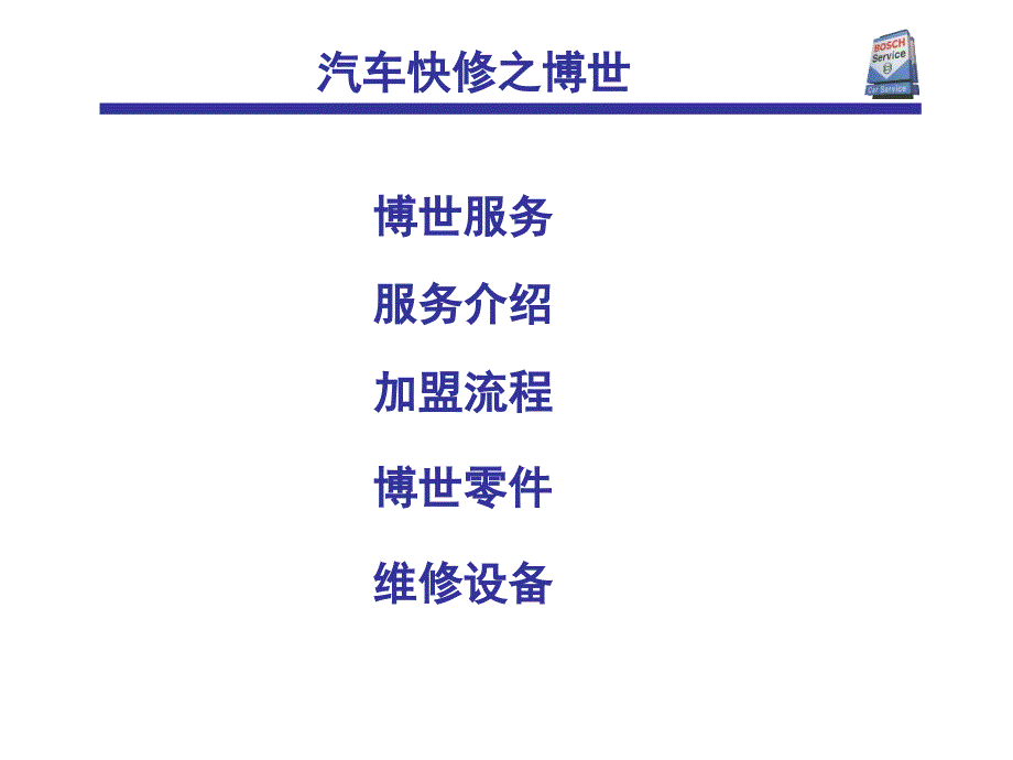 Bosch汽车快修_第1页