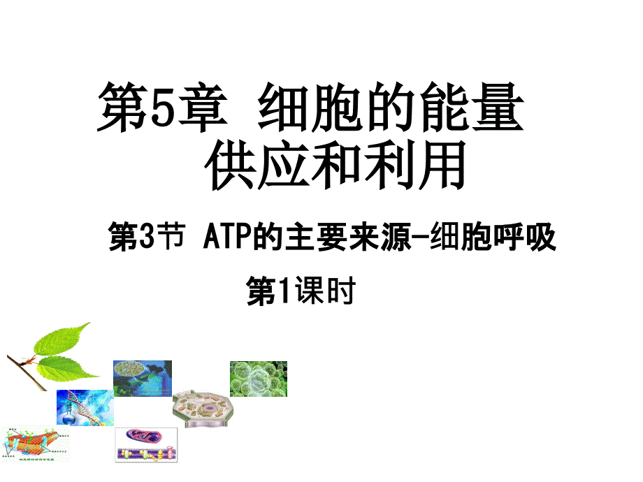 (人教细胞的能量供应和利用 第3节《ATP的主要来源—细胞呼吸》课时1 课件_第1页